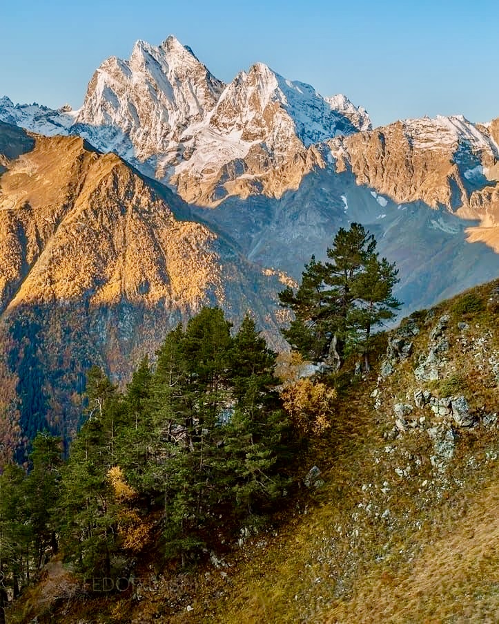 Vacanza Yoga in montagna-Tornare all'essenza