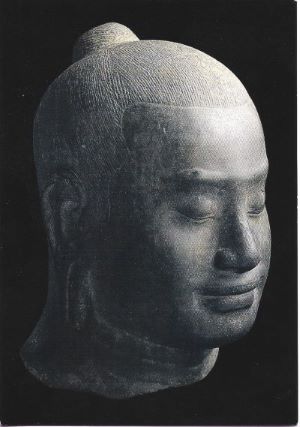 anatomia